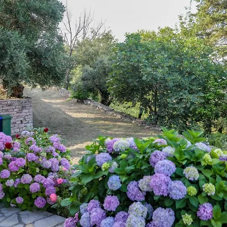 Sinies Stone - Ne Corfu Agnítsini